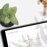 數碼 2022-2023 Goodnotes 未註明日期的社交媒體內容日曆 櫻花色調