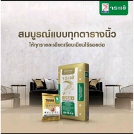 DIY Gold Crocodile Cement Glue Model 4kg.