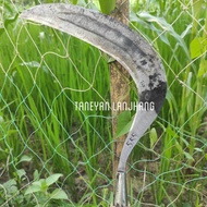 Arit baja isen super tajam cap 555 / arit baja isen Madura / arit rumput baja asli Madura / sabit Ma