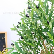 Large Simulation Olive Tree Influencer Olive Tree Removable Assembly Saving Volume Nordic Window Dec