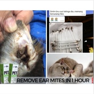 Ubat Kutu Kucing Ubat Kutu Telinga Earmites Drop Cat Ubat Kutu Anak Kucing Ubat Kutu Anjing Cat Anti