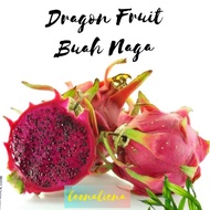 BUAH NAGA ISI MERAH/RED DRAGON FRUIT GRED A 1 KG