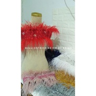 Ostrich Feather Decoration