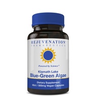 Klamath Blue-Green Algae | More Powerful Than Spirulina Or Chlorella | Grown from The Clean Pure Sou
