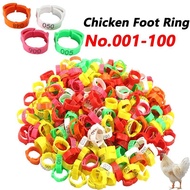 Chicken Feet, Adjustable, 100 Pcs, For Chicken And Poultry, Chicken Feet