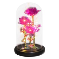Sunshineyou-24K Artificial Flower Galaxy Rose Forever Preserved Glass Dome Light for Valentine's Mother's Day Gift