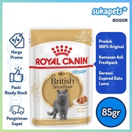 Royal Canin Adult British Shorthair Makanan Kucing Dewasa Wet 85gr