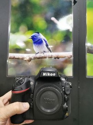 Nikon D800 全幅