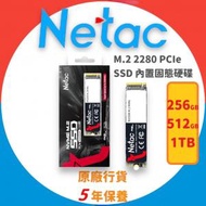 Netac - 256GB M.2 2280 PCIe SSD 內置固態硬碟 NV2000(GEN3X4) (NT01NV2000-256-E4X)