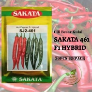 50PCS Benih Cili■049-Cili Kulai SAKATA 461 F1 Hybrid/461 辣椒 (日本）