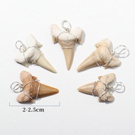 Moroccan Shark Teeth Silver Wire Hand-woven Pendant Ocean Fossil Specimen Mouse Shark Cone Natural A