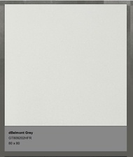 Granit Roman dBelmont Grey GT809202HFR 80 x 80