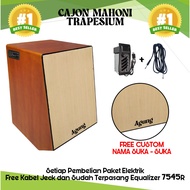 Acoustic and Electric Trapezoid Cajon