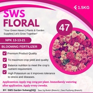 SWS Floral NPK 13-13-21 Blooming fertilizer /Flowering fertiliser