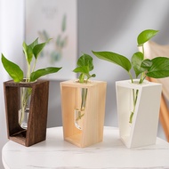 ST-⛵Simple Nordic Hydroponics Green Plant Test Tube Wooden Rack Water-Raised Flower Arrangement Wooden Table Top Glass V