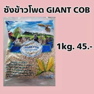 ซังข้าวโพด Giant Cob รองกรง สำหรับ นก หนู กระต่าย แกสบี้ แฮมสเตอร์ เม่น เฟอเร็ท วัสดุรองรัง หนูแฮมเต