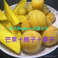 滿288出貨 新貨 廣西特産酸泡李子脆李子三月李水果新鮮醃芒果醃桃子醃李子醃製酸嘢