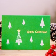 Merry Christmas 種子紙聖誕卡片 (聖誕樹 X'mas Tree)