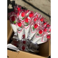 Premium Tulip Set 2025 Version - Gift for Lover, Girlfriend, Mother, Grandma, Girl on October 20, No