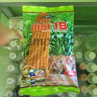 Benih Jagung Hibrida Bisi 18 Isi 1Kg Jagung Bisi18 Bibit Jagung Bisi