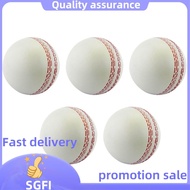 Sports Cricket, Training Cricket, Sports Wind Swing Rebound  Cricket, Elastic Decompression Ball.fiv