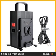16.8V/3A Dual Channel V-Mount / V-Lock Battery Fast Charger, Compatible with All V-Mount Batteries a