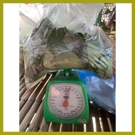 ◪ ۞ ◶ Kakawate Madre De Cacao Leaves / Cuttings 200g