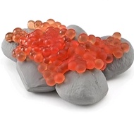 Mainan Miniatur Siklus Hidup Telur Ikan Salmon Egg