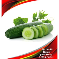 Biji Benih Timun (10 seeds) / Cucumber seeds