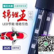 魚缸燈魚池T8錦鯉專用魚缸燈led燈防水超亮增艷照明燈潛水燈三基色燈管水族燈