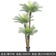 ต้นมะพร้าว 240/250/300 cm.(พร้อมกระถางดำยกชุด) สูงใหญ่ เหมือนจริง ต้นไม้ใหญ่ ต้นไม้ปลอม ของแต่งบ้าน บ้านและสวน (พร้อมส่ง) plant CCN