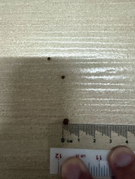 Fresh Seamaster Floating & Sinking F00 F01 F02 F03 F04 F05 F06 S01 S02 S03 S04 (43-44%) + Fish Pelle