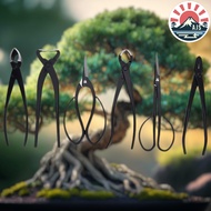 VGEBY Bonsai Trimming Tool 7-Piece Set Gardening Tool Bonsai Tool Set Pruning Kit Branch Cutter Conc