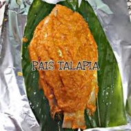 pais ikan talapia merah