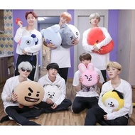 Bts Pillow/Bt21 Pillow