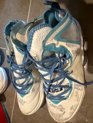 Nike lebron 19 籃球鞋