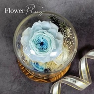 【Flower Plus】 冰清玉潔｜永生花玻璃罩