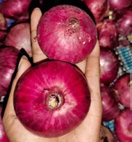 Bawang Merah India 1kg