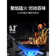 [Recommended 5.2kW Fire Timing] Voice-Capacity Gas Stove Double Stove Household Liquefied Gas Natura