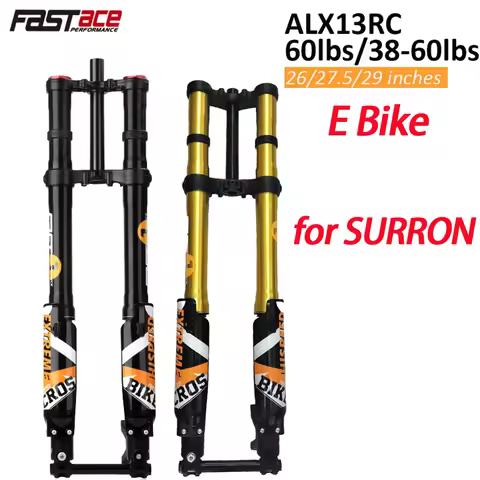 Fastace ALX13RC Suspension Inverted Fork 38~60/60LBS Black/gold Electric SUR RON Dirt Bike Downhill