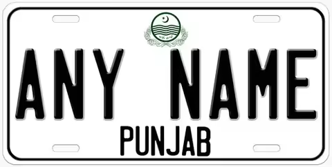 Pakistan Punjab Personalized Car Auto License Plates Any Name