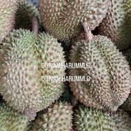 Promo Durian Montong Utuh Cane Singaraja Bali 2,7Kg Original