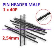 [Duta-TNG] 1x40P Pin Header Male 2.54mm 40 Pin Single Row Strip Black Silver