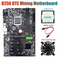 B250 BTC Miner Motherboard with G3920 CPU+Fan+SATA Cable 12XGraphics Card Slot LGA 1151 DDR4 USB3.0 for BTC Mining