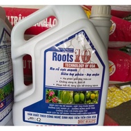 Root Stimulator Roots 10 USA 5L Extremely strong rooting - (Root Stimulates Roots 3-5 times faster) 