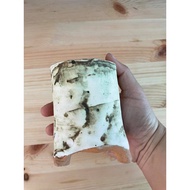 Augustfame - Handmade pot Green