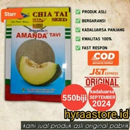 Benih Melon Amanda Tavi 550 biji - exp 2025 ( Kemasan Baru )