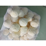 [1pcs]Biological Porous &amp; hollow bio ball filter media