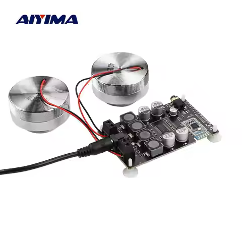 AIYIMA Vibration Full Range Speaker+ Amplifier+ Plug 2 Inch Audio Mini Portable 4/8 Ohm 20/25W Reson