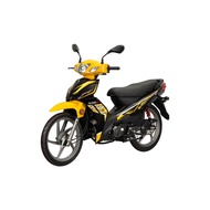 SM SPORT 110E MOTORCYCLE